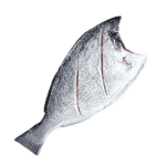 Dorada ECO del mediterráneo - Imagen 2