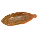 Lenguado Nacional 180 gr. a 200 gr.