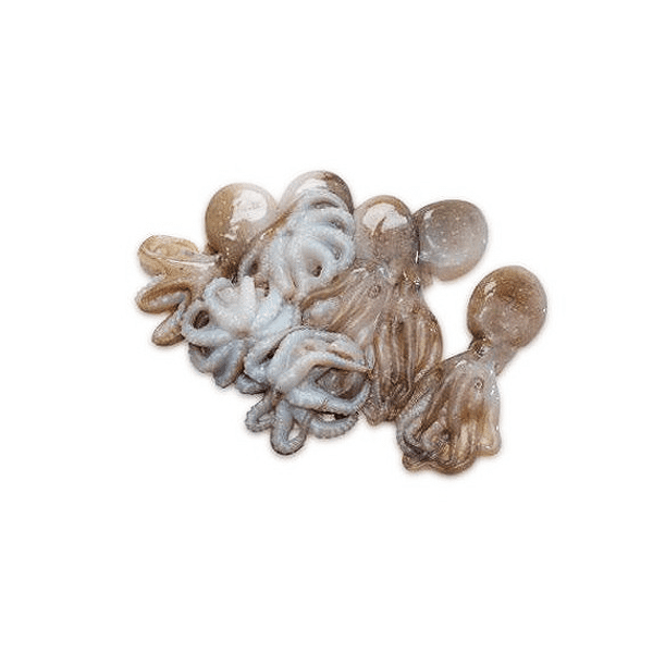 pulpis1.png Pulpitos - Imagen 1
